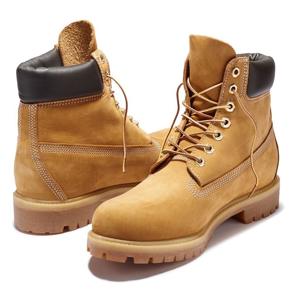Bota Neve Masculino - Timberland 6-Inch Premium Impermeavel - OWLQA5246 - Marrom